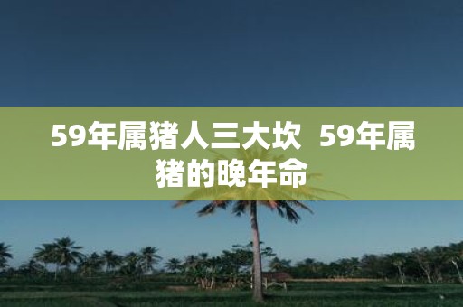59年属猪人三大坎 59年属猪的晚年命