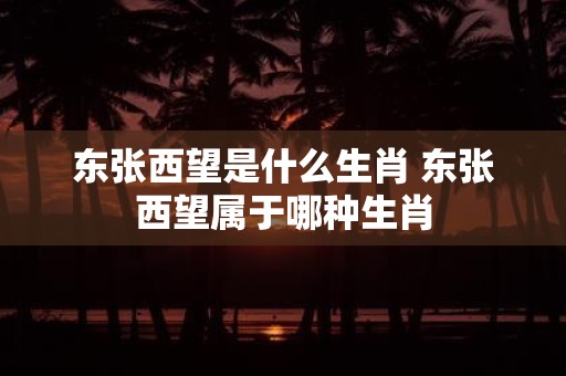 东张西望是什么生肖 东张西望属于哪种生肖