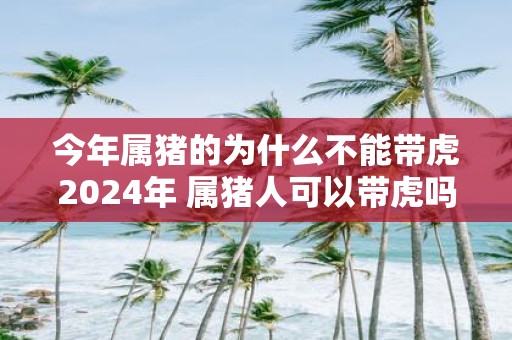 今年属猪的为什么不能带虎2025年 属猪人可以带虎吗