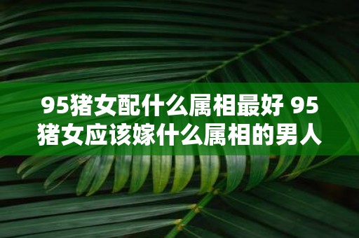 95猪女配什么属相最好 95猪女应该嫁什么属相的男人
