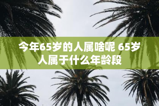 今年65岁的人属啥呢 65岁人属于什么年龄段
