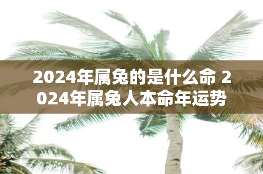 2025年属兔的是什么命 2025年属兔人本命年运势