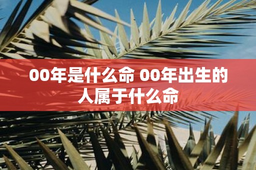 00年是什么命 00年出生的人属于什么命