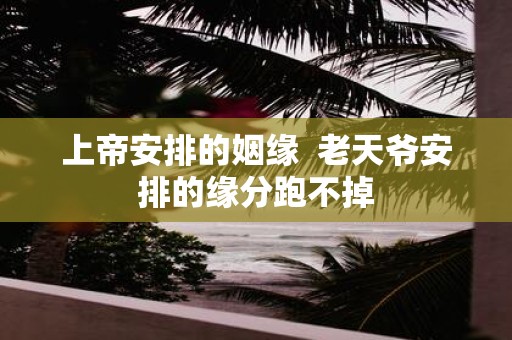 上帝安排的姻缘 老天爷安排的缘分跑不掉