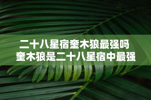 二十八星宿奎木狼最强吗 奎木狼是二十八星宿中最强的吗
