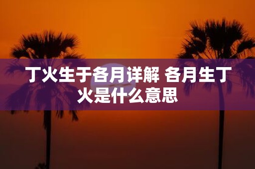 丁火生于各月详解 各月生丁火是什么意思