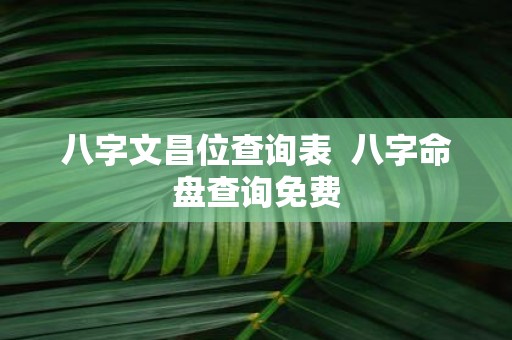 八字文昌位查询表 八字命盘查询免费