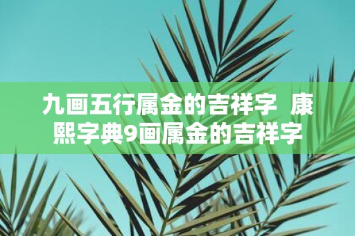 九画五行属金的吉祥字 康熙字典9画属金的吉祥字