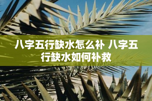 八字五行缺水怎么补 八字五行缺水如何补救