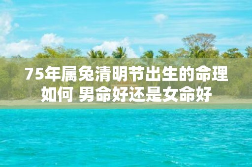 75年属兔清明节出生的命理如何 男命好还是女命好