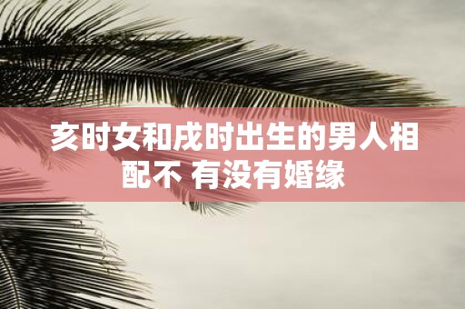 亥时女和戌时出生的男人相配不 有没有婚缘