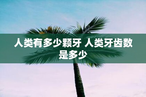 人类有多少颗牙 人类牙齿数是多少