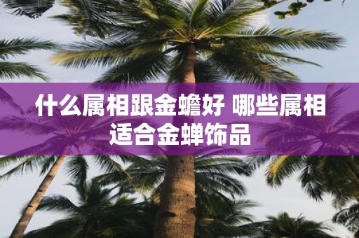 什么属相跟金蟾好 哪些属相适合金蝉饰品