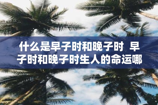 什么是早子时和晚子时 早子时和晚子时生人的命运哪个好