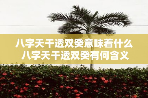 八字天干透双癸意味着什么 八字天干透双癸有何含义