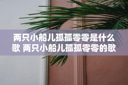 两只小船儿孤孤零零是什么歌 两只小船儿孤孤零零的歌名是什么