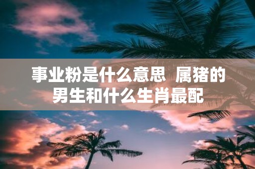事业粉是什么意思 属猪的男生和什么生肖最配