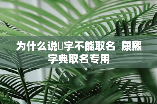 为什么说燊字不能取名 康熙字典取名专用