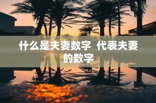 什么是夫妻数字 代表夫妻的数字