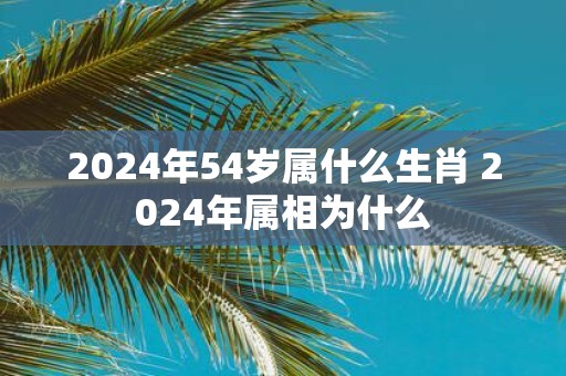 2025年54岁属什么生肖 2025年属相为什么
