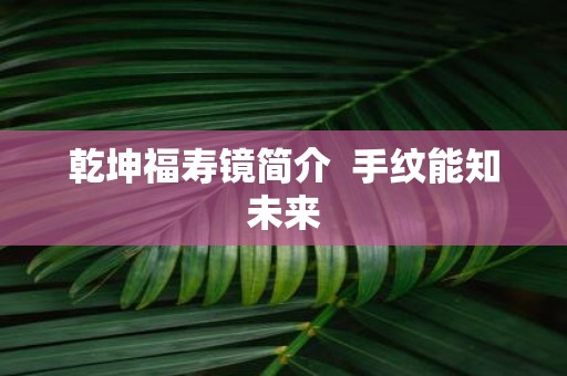 乾坤福寿镜简介 手纹能知未来