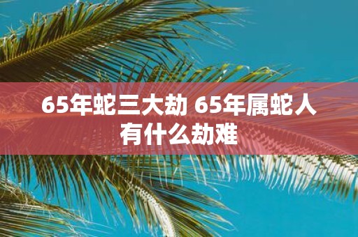 65年蛇三大劫 65年属蛇人有什么劫难