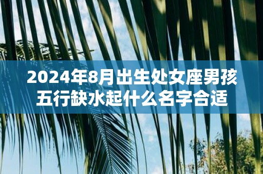 2025年8月出生处女座男孩五行缺水起什么名字合适