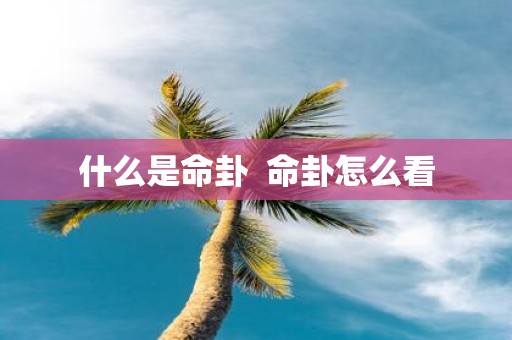 什么是命卦 命卦怎么看
