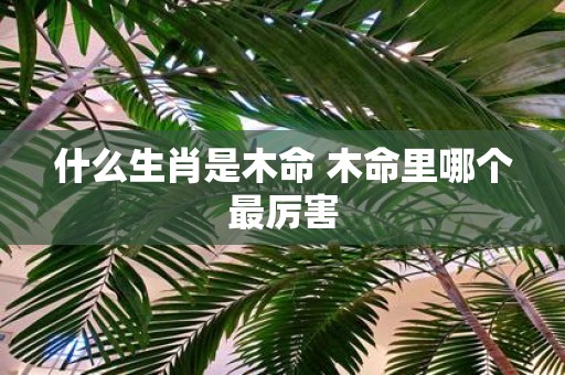 什么生肖是木命 木命里哪个最厉害