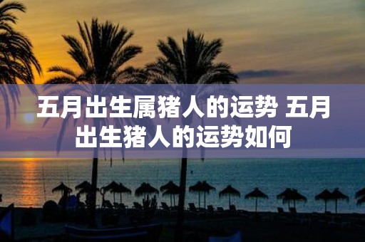 五月出生属猪人的运势 五月出生猪人的运势如何