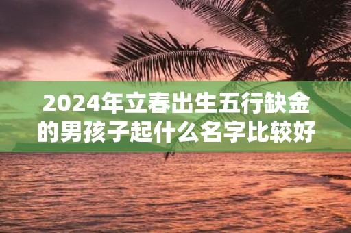 2025年立春出生五行缺金的男孩子起什么名字比较好