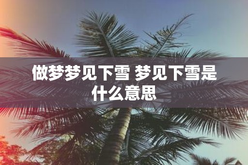 做梦梦见下雪 梦见下雪是什么意思