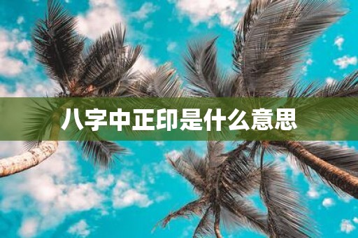 八字中正印是什么意思