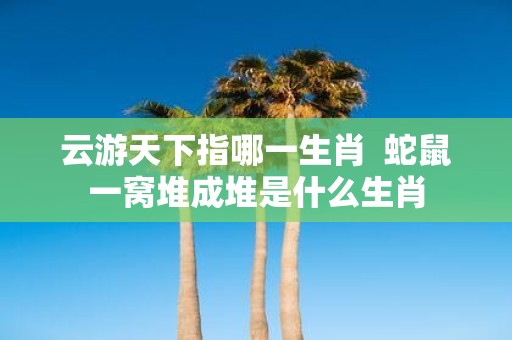 云游天下指哪一生肖 蛇鼠一窝堆成堆是什么生肖