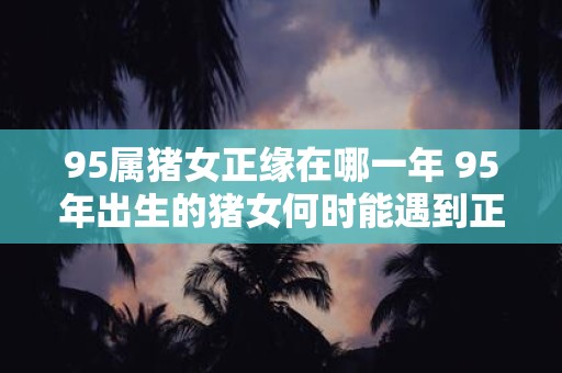 95属猪女正缘在哪一年 95年出生的猪女何时能遇到正缘