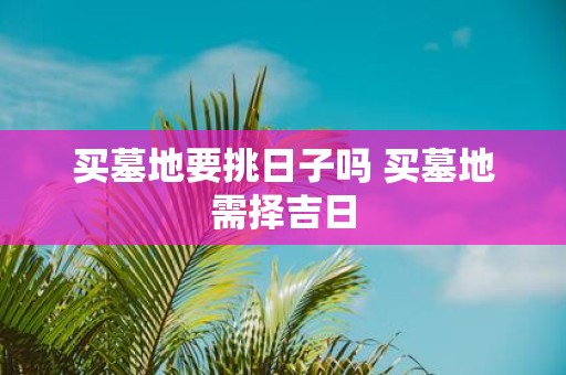 买墓地要挑日子吗 买墓地需择吉日