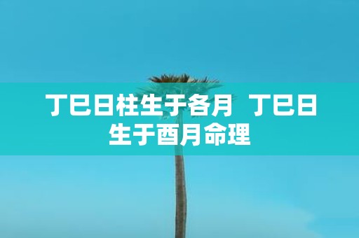 丁巳日柱生于各月 丁巳日生于酉月命理
