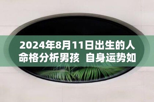 2025年8月11日出生的人命格分析男孩 自身运势如何