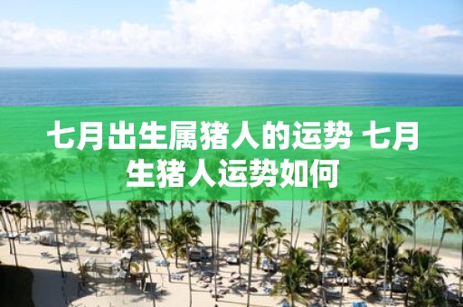 七月出生属猪人的运势 七月生猪人运势如何