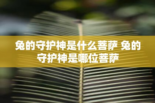 兔的守护神是什么菩萨 兔的守护神是哪位菩萨