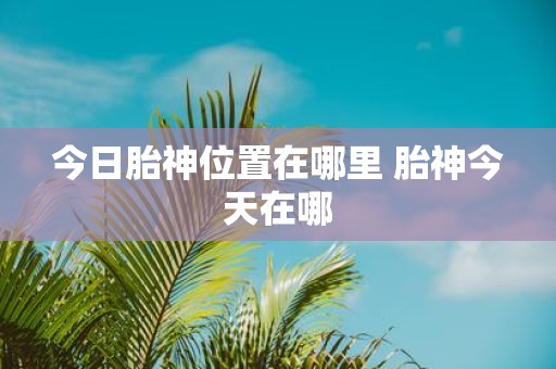 今日胎神位置在哪里 胎神今天在哪