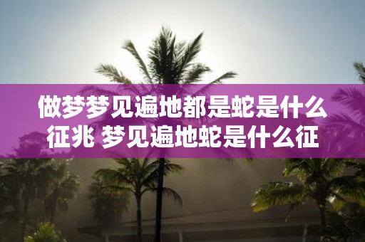 做梦梦见遍地都是蛇是什么征兆 梦见遍地蛇是什么征兆