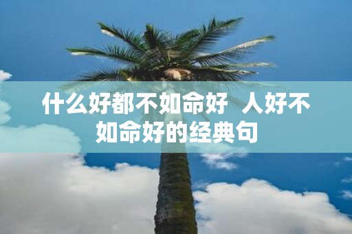 什么好都不如命好 人好不如命好的经典句