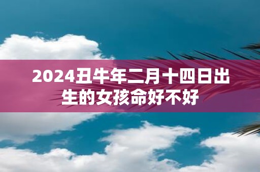 2025丑牛年二月十四日出生的女孩命好不好