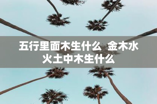 五行里面木生什么 金木水火土中木生什么