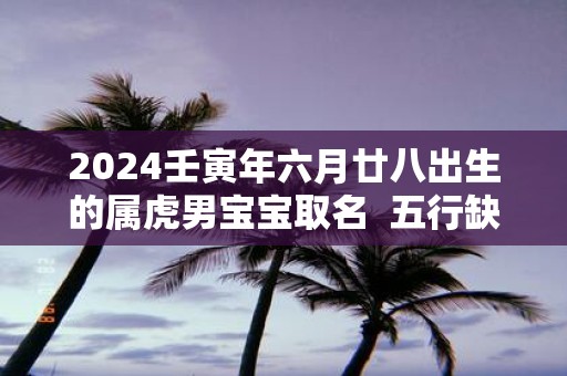 2025壬寅年六月廿八出生的属虎男宝宝取名 五行缺啥