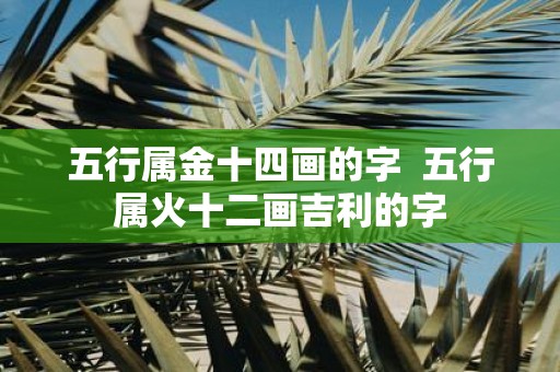 五行属金十四画的字 五行属火十二画吉利的字