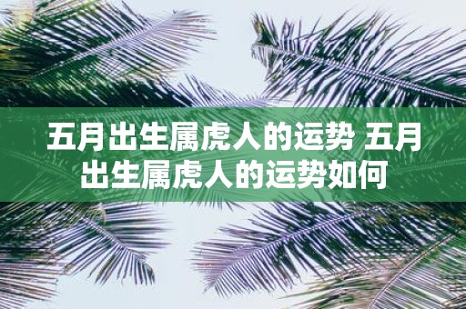 五月出生属虎人的运势 五月出生属虎人的运势如何