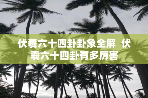 伏羲六十四卦卦象全解 伏羲六十四卦有多厉害