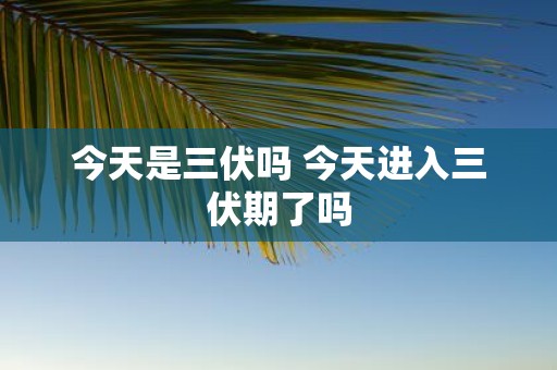 今天是三伏吗 今天进入三伏期了吗